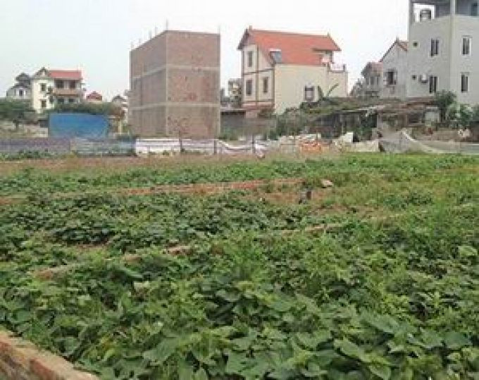 Ảnh minh họa: Internet