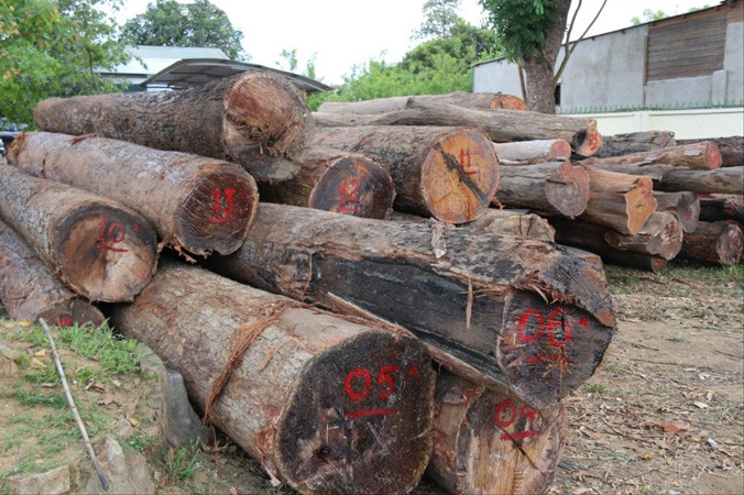 Gỗ mua thanh lý của Phượng “râu” được tập kết hai bên quốc lộ 14C.