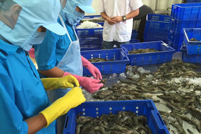 Có một số ngành hàng phát triển xuất khẩu rất nhanh, nhưng có một số ngành hàng còn lúng túng, lúc trồi lúc sụt.