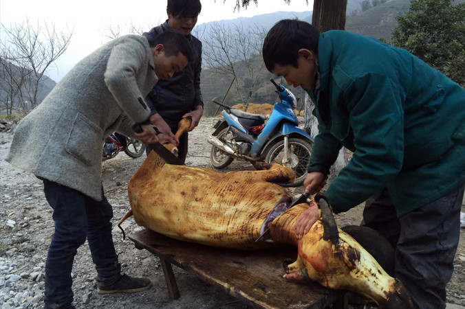 Ba anh em Lý Láo Lở xẻ thịt trâu bán ven quốc lộ 4D. Ảnh: Nguyễn Hoàn.