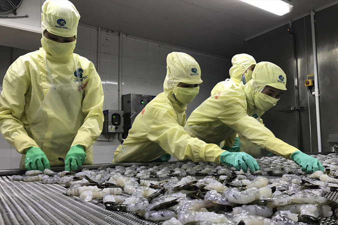 Tôm là một trong những mặt hàng chủ lực trong việc đưa xuất khẩu thủy sản lên 9 tỷ USD năm 2018. Ảnh: Bình Phương.