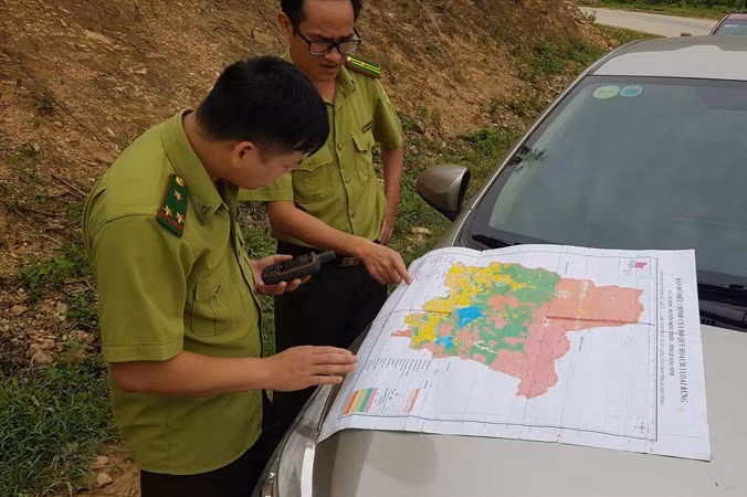 Sau khi Tiền Phong phản ánh, phía hạt kiểm lâm Ðông Triều dùng máy định vị để xác định lại diện tích rừng phòng hộ bị tàn phá.