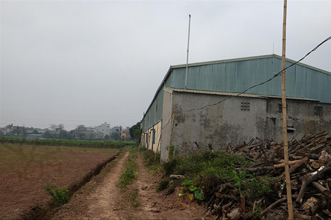 Hình ảnh bên trong khu đất rộng 11 ha AVG mua của Cty CP giống tằm Mai Lĩnh.