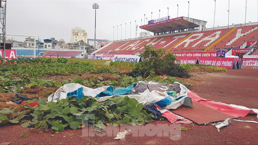 Khu vực sau cầu môn khán đài C sân Lạch Tray (Hải Phòng) được tận dụng trồng rau, hiện đã được dọn. ảnh: Hoàn Nguyễn 