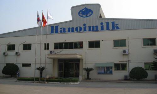 Lãnh đạo Hanoimilk từ chối bình luận gì về thông tin Tiga Pilar mua cổ phần công ty.