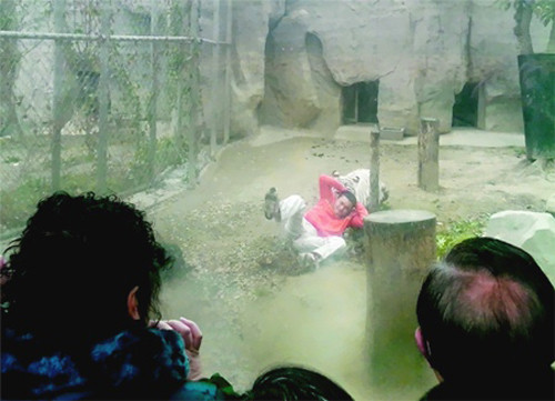 Nam thanh niên thoát chết khi bị hổ kéo lê 