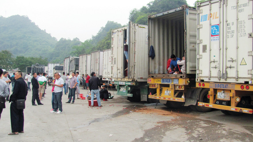 Doanh nghiệp thua lỗ, bán tháo ớt với giá 5,5 NDT/kg