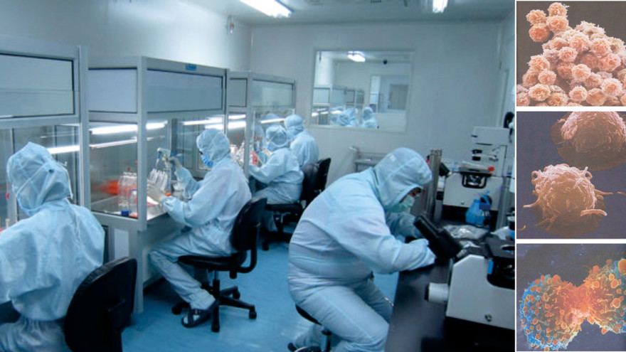 Tại phòng nghiên cứu tế bào gốc