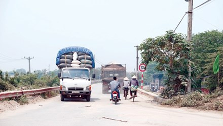 Xe quá tải trên đường đê thuộc địa phận quận Bắc Từ Liêm.