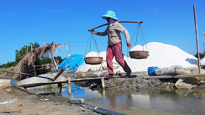 Diêm dân Cát Minh (Phù Cát, Bình Định) thua lỗ nặng nề nhất trong 5 năm qua giá muối xuống quá thấp. Ảnh: Hoài Văn