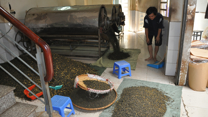 Trà nguyên liệu chất đầy nhà nhưng chủ cơ sở không chứng minh nguồn gốc