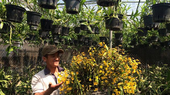 Anh Sơn trong vườn hoa lan