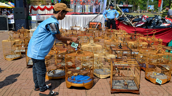 Thi chim cảnh quyên tiền từ thiện