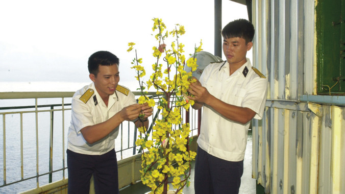 Chuẩn bị cành mai đón xuân về. Ảnh: DK1