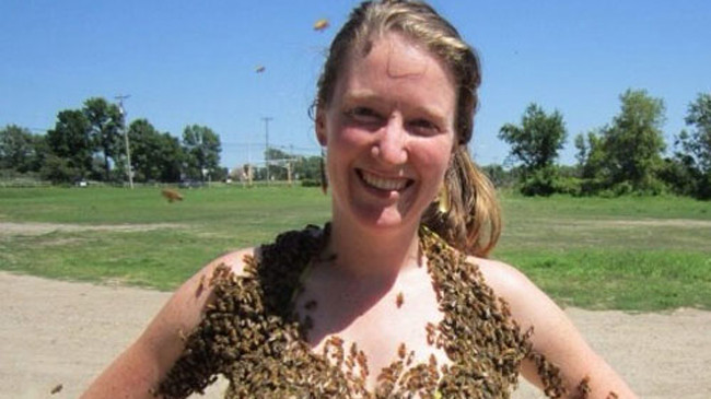 'Ong đốt chỗ kín gây đau nhất' giành giải Ig Nobel