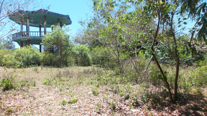 Bên trong công viên mọc đầy cỏ dại