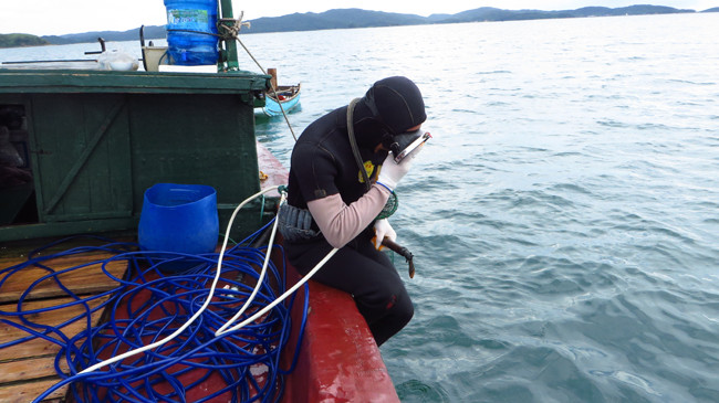 Phu lặn chuẩn bị lao xuống đáy biển