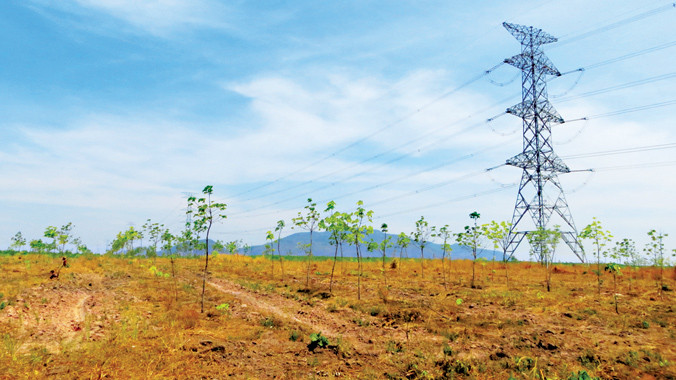 Nhiều diện tích không phù hợp vẫn được chuyển đổi trồng cao su