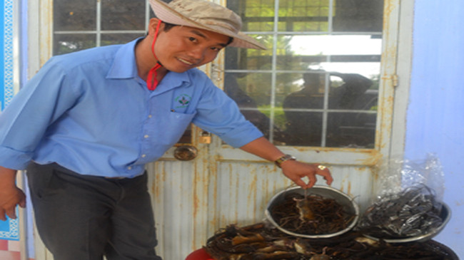 Thành quả lao động diệt chuột ăn hạt sâm