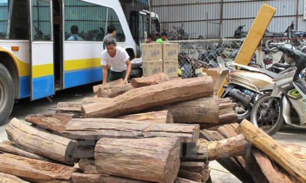 Lực lượng chức năng phát hiện chiếc xe giường nằm chở hơn 2 tấn gỗ Trắc không có giấy tờ hợp lệ. Ảnh: TTXVN