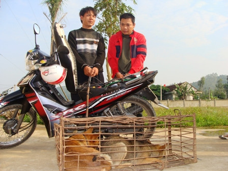 Hai đối tượng trộm chó bị bắt giữ.