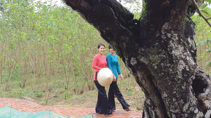 Dưới gốc dâu trăm tuổi. Ảnh: Trần Tuấn