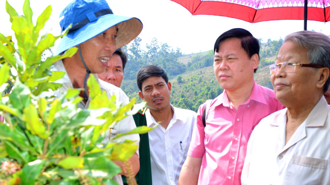 Nguyên Chủ tịch nước Trần Đức Lương nghe ông Trần Đình Mạnh, Bí thư Huyện ủy Tuy Đức (tỉnh Đắk Nông), giới thiệu về kế hoạch mắc ca tiểu điền cho đồng bào