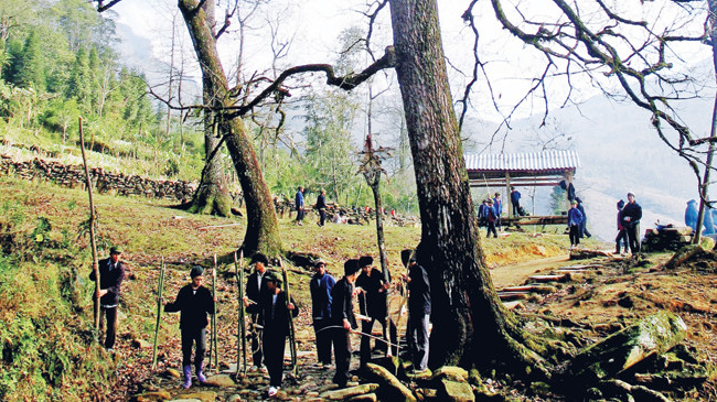 Lễ cúng rừng của người Hà Nhì ở Ý Tý