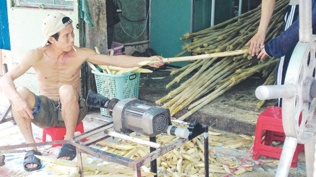 Quy trình sơ chế mía sơ sài
