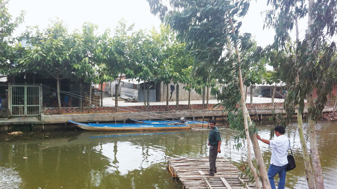 Trang trại nuôi cá sấu của Bí thư Duyên trải dài bờ kinh, trồng cây sao xanh tươi