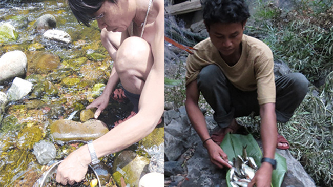 Sản vật lấy từ suối Rục Cà Roòng