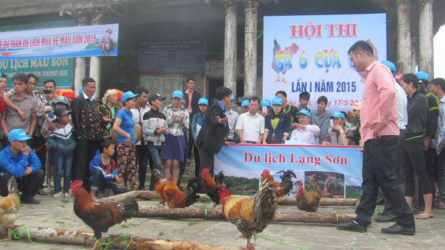 Sôi nổi Hội thi gà sáu cựa trên đỉnh Mẫu Sơn. Ảnh: Duy Chiến