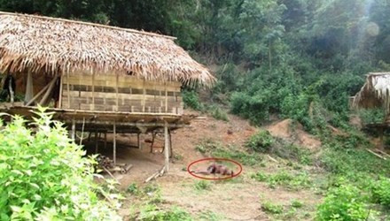 Họp báo vụ thảm sát tại Tương Dương