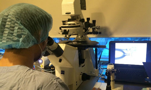 Mang thai hộ bằng hình thức thụ tinh trong ống nghiệm mở ra nhiều cơ hội cho các cặp vợ chồng hiếm muộn.