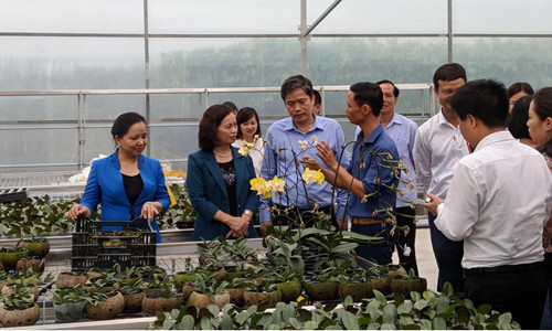 Đoàn nghe giới thiệu về mô hình trồng lan Hồ Điệp 