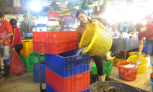 Chị Trịnh Thị Hiếu 40 tuổi, có hơn chục năm kéo cá thuê ở chợ Bình Điền