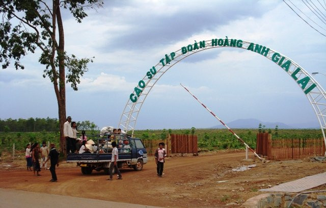 Đầu tư nông nghiệp trên quy mô lớn không hề đơn giản. Ảnh minh họa: Dự án trồng cao su của tập đoàn Hoàng Anh Gia Lai tại Lào (năm 2010). Ảnh TL
