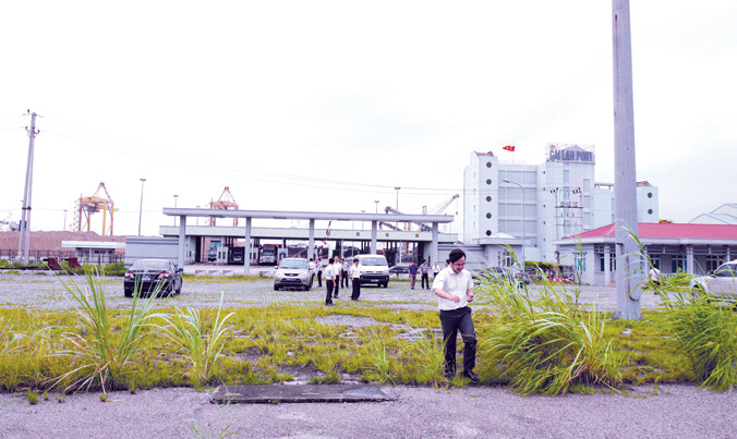 Cỏ mọc um tùm trên nền bê tông của ga Cái Lân. Ảnh: Sỹ Lực.