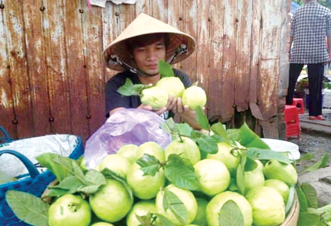 Lệ Rơi chia sẻ tình đời