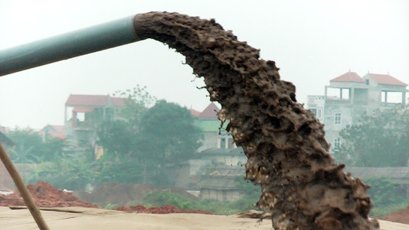 Ảnh minh hoạ: Internet