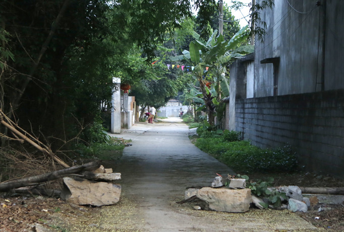 Hôm nay, ngày 8/8, 14 bị cáo nguyên là cán bộ UBND xã Đồng Tâm và UBND huyện Mỹ Đức - Hà Nội hầu tòa liên quan đến đất đai ở Đồng Tâm. (Đường vào thôn Hoành - xã Đồng Tâm - Hà Nội). Ảnh: Ngọc Châu.