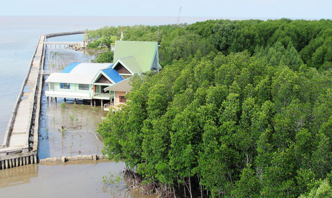 Rạch Miễu sạt lở liên tục, người dân phải dời nhà vào trong.