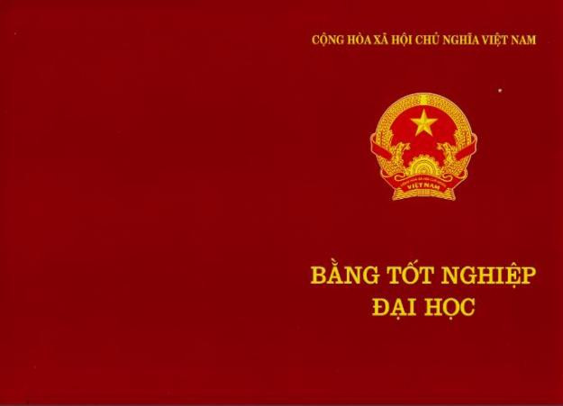 Ảnh minh hoạ: Internet