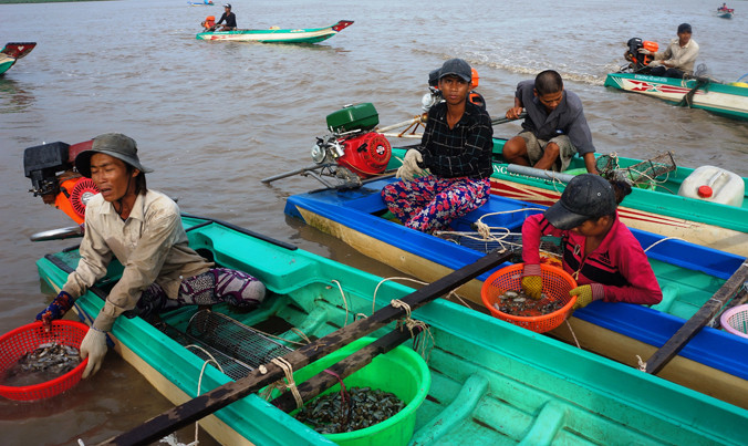 Người dân nghèo bám bãi bồi tìm kế sinh nhai.