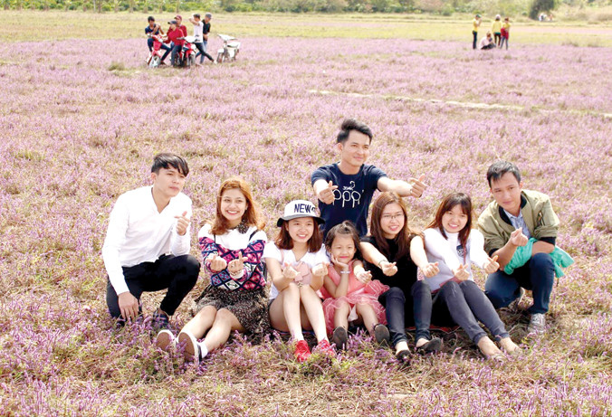 Cánh đồng hoa tím thu hút nhiều bạn trẻ tìm đến.