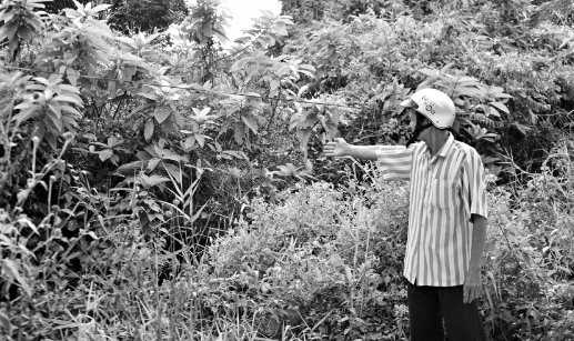 Ông Trần Thanh Liêm chỉ phần đất hơn 3.700m2 của bị thu hồi, bỏ hoang từ năm 2010 đến nay chưa được bồi thường.