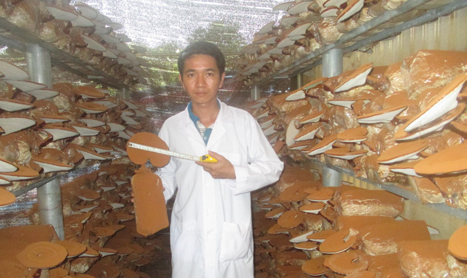 Anh Nguyễn Chí Thành tại trại nấm của mình. Ảnh: NVCC.
