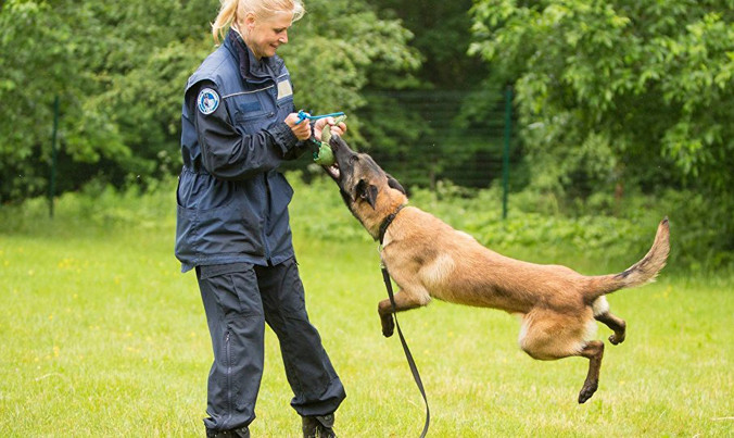 Chó nghiệp vụ ở Estonia.