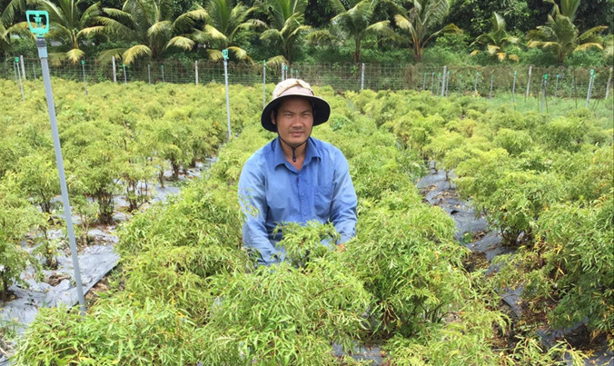 Anh Vũ Công Định bên vườn dược liệu của mình. Ảnh: Hòa Hội.