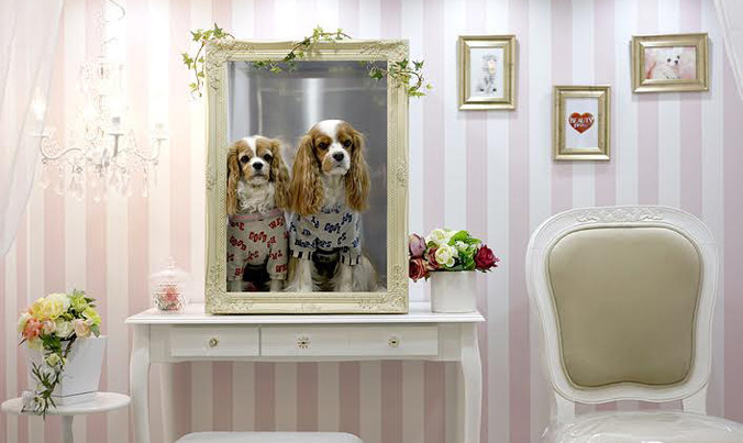 Triển lãm dành cho thú cưng tại Tokyo.